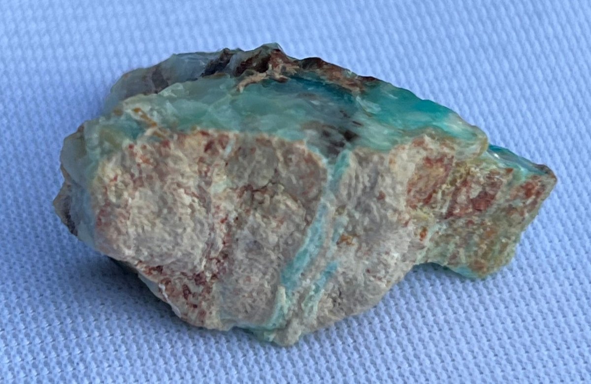 Crystallized Petrified Wood with Chrysocolla - My Shop of Wonders