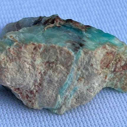Crystallized Petrified Wood with Chrysocolla - My Shop of Wonders