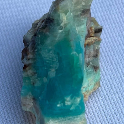 Crystallized Petrified Wood with Chrysocolla - My Shop of Wonders