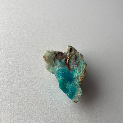 Crystallized Petrified Wood with Chrysocolla - My Shop of Wonders