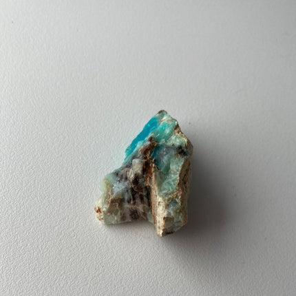 Crystallized Petrified Wood with Chrysocolla - My Shop of Wonders