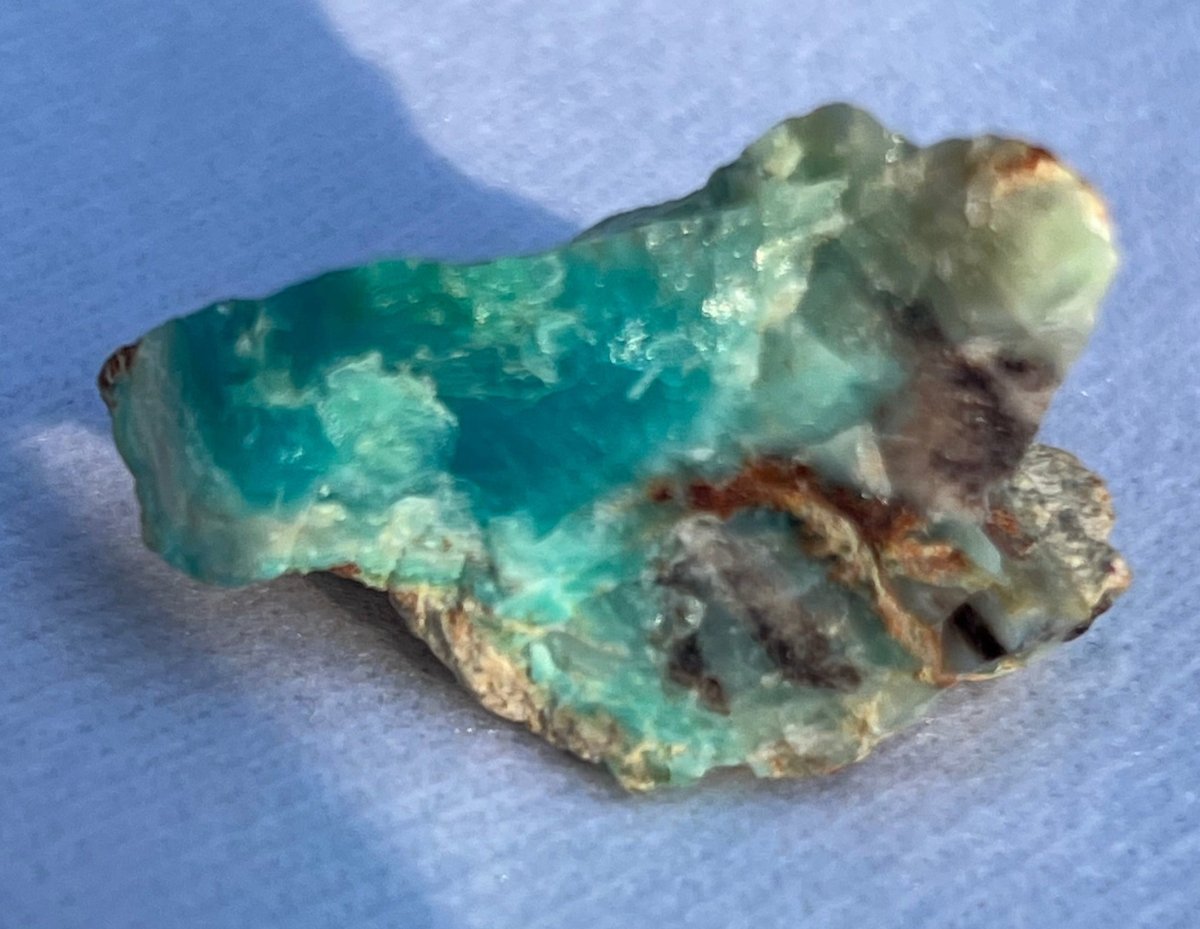 Crystallized Petrified Wood with Chrysocolla - My Shop of Wonders
