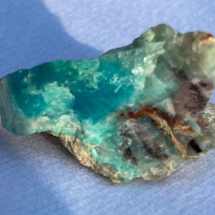 Crystallized Petrified Wood with Chrysocolla - My Shop of Wonders