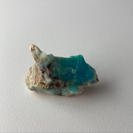Crystallized Petrified Wood with Chrysocolla - My Shop of Wonders