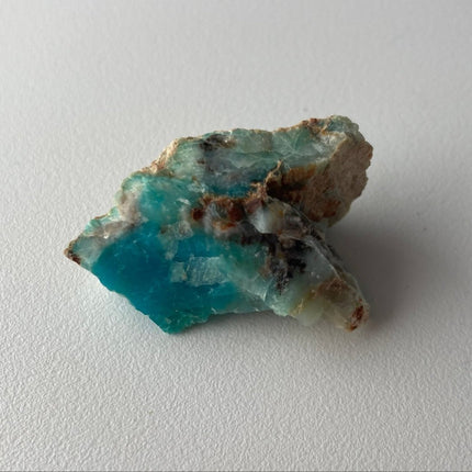 Crystallized Petrified Wood with Chrysocolla - My Shop of Wonders