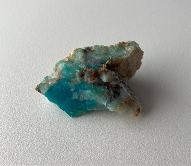 Crystallized Petrified Wood with Chrysocolla - My Shop of Wonders