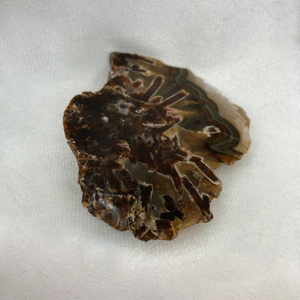 Discover Sagenite Agate for Personal Transformation and Growth - My Shop of Wonders