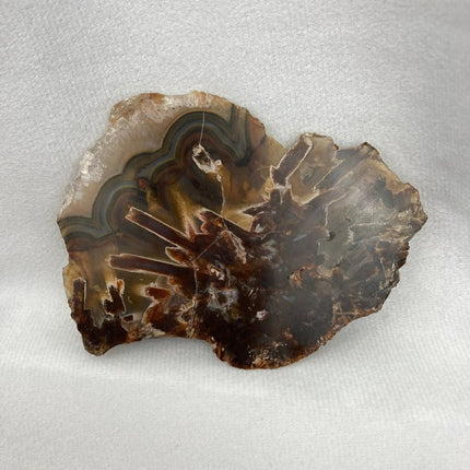 Discover Sagenite Agate for Personal Transformation and Growth - My Shop of Wonders