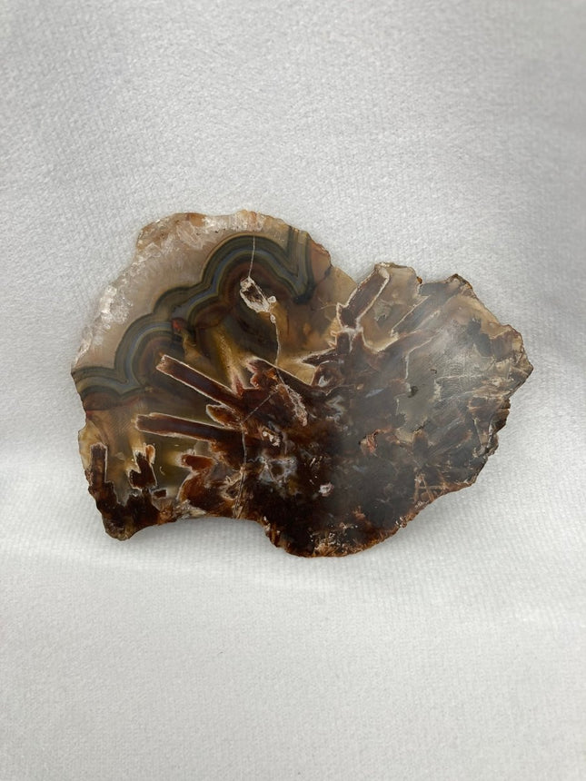 Discover Sagenite Agate for Personal Transformation and Growth - My Shop of Wonders