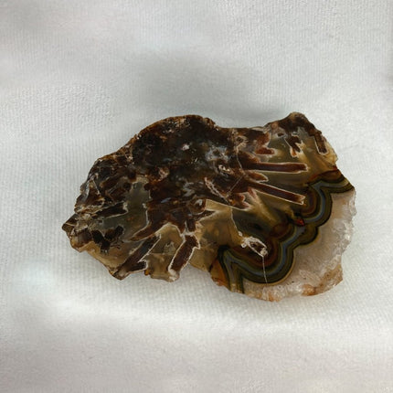 Discover Sagenite Agate for Personal Transformation and Growth - My Shop of Wonders