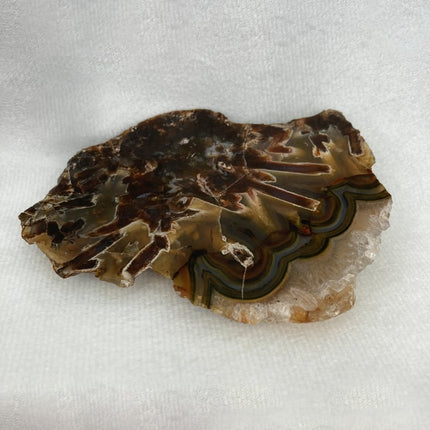 Discover Sagenite Agate for Personal Transformation and Growth - My Shop of Wonders