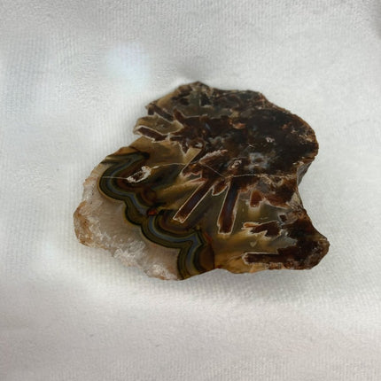 Discover Sagenite Agate for Personal Transformation and Growth - My Shop of Wonders