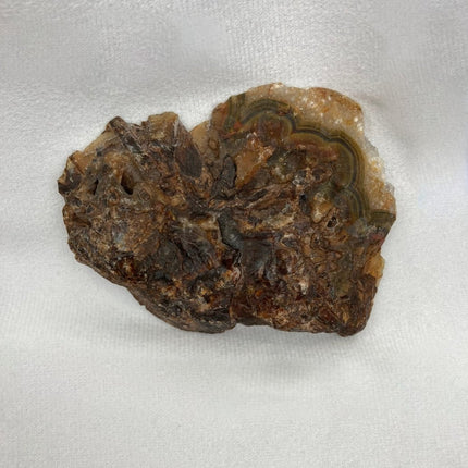 Discover Sagenite Agate for Personal Transformation and Growth - My Shop of Wonders