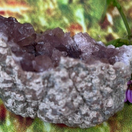 Enchanting Pink Geode Amethyst: Argentina's Crystal Geode Treasure - My Shop of Wonders