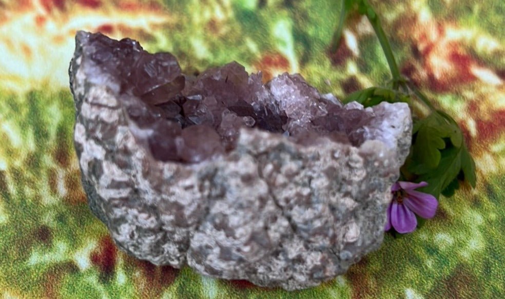 Enchanting Pink Geode Amethyst: Argentina's Crystal Geode Treasure - My Shop of Wonders