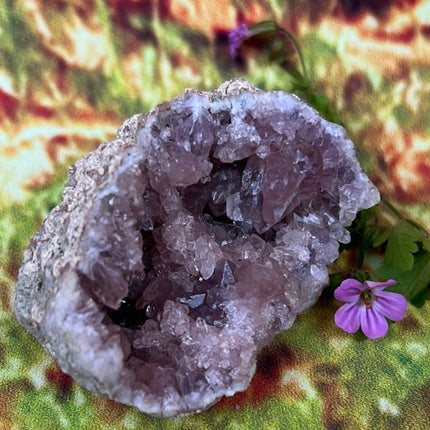 Enchanting Pink Geode Amethyst: Argentina's Crystal Geode Treasure - My Shop of Wonders