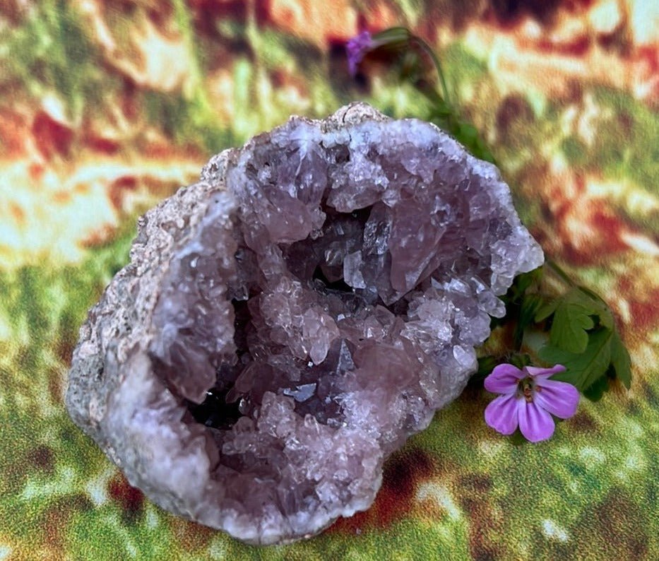 Enchanting Pink Geode Amethyst: Argentina's Crystal Geode Treasure - My Shop of Wonders