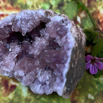 Enchanting Pink Geode Amethyst: Argentina's Crystal Geode Treasure - My Shop of Wonders