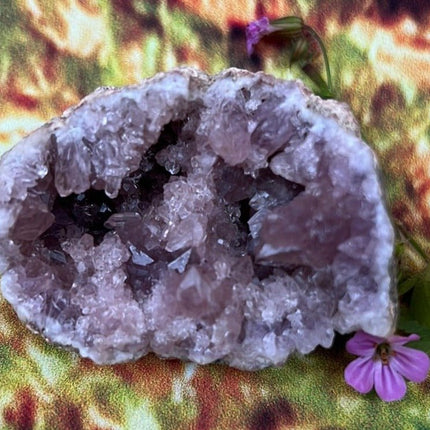 Enchanting Pink Geode Amethyst: Argentina's Crystal Geode Treasure - My Shop of Wonders