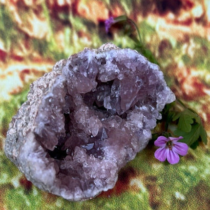 Enchanting Pink Geode Amethyst: Argentina's Crystal Geode Treasure - My Shop of Wonders