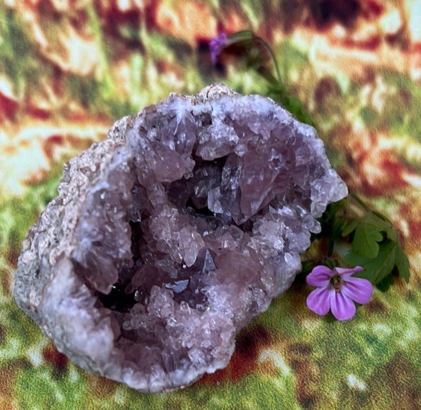 Enchanting Pink Geode Amethyst: Argentina's Crystal Geode Treasure - My Shop of Wonders