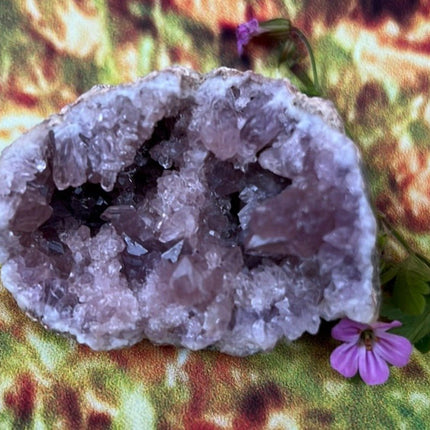 Enchanting Pink Geode Amethyst: Argentina's Crystal Geode Treasure - My Shop of Wonders