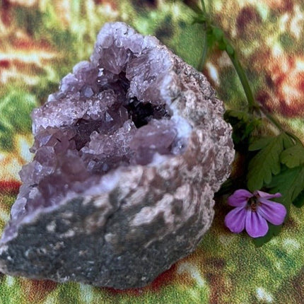 Enchanting Pink Geode Amethyst: Argentina's Crystal Geode Treasure - My Shop of Wonders