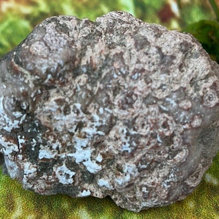 Enchanting Pink Geode Amethyst: Argentina's Crystal Geode Treasure - My Shop of Wonders