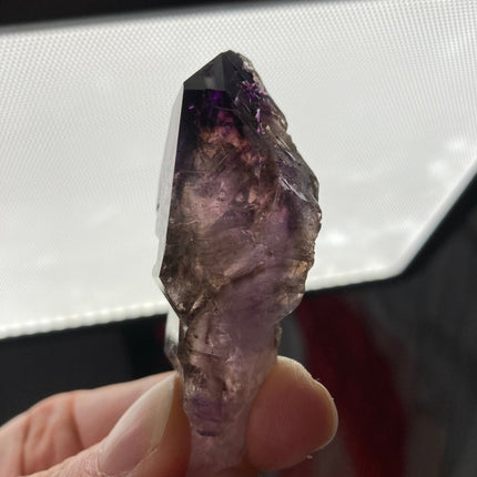Experience the Enchantment: Amethyst Crystal Scepters - My Shop of Wonders