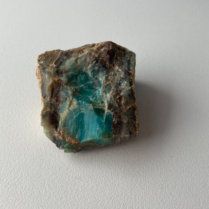 Fossilized Petrified Wood from Turkey - My Shop of Wonders