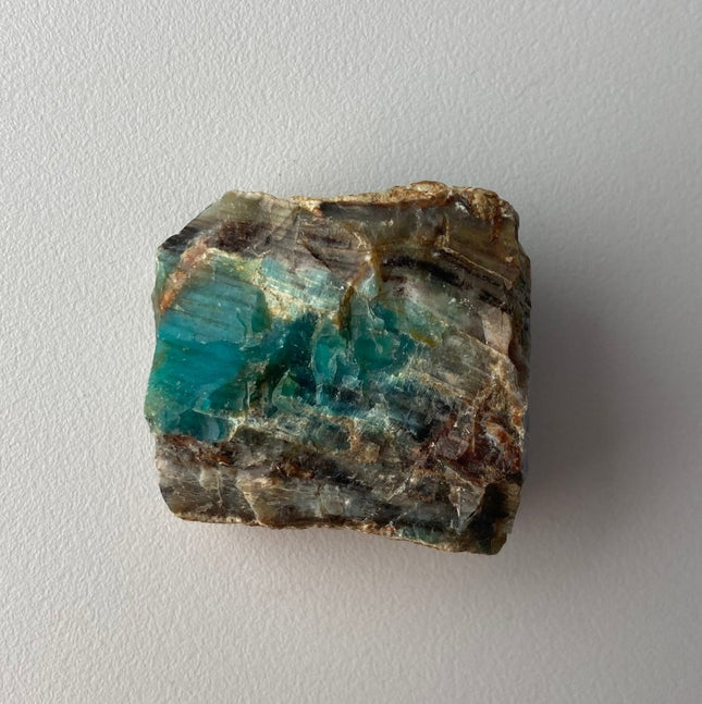 Fossilized Petrified Wood from Turkey - My Shop of Wonders