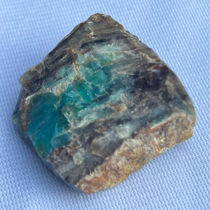 Fossilized Petrified Wood from Turkey - My Shop of Wonders