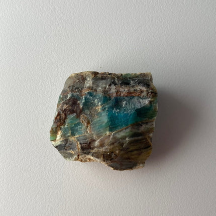 Fossilized Petrified Wood from Turkey - My Shop of Wonders