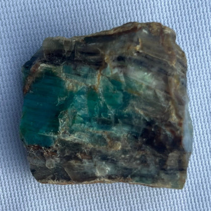 Fossilized Petrified Wood from Turkey - My Shop of Wonders