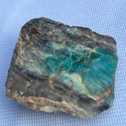 Fossilized Petrified Wood from Turkey - My Shop of Wonders