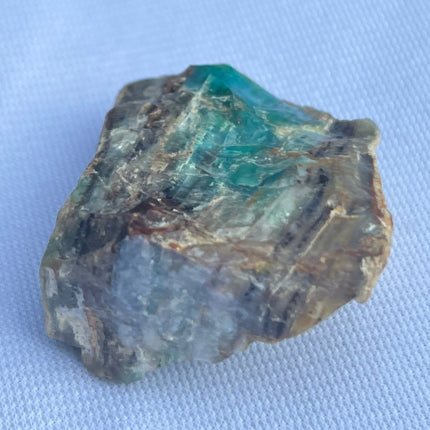 Fossilized Petrified Wood from Turkey - My Shop of Wonders
