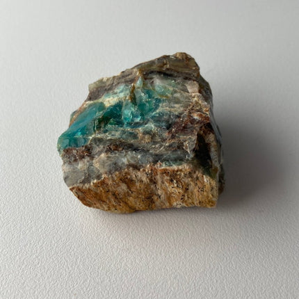 Fossilized Petrified Wood from Turkey - My Shop of Wonders