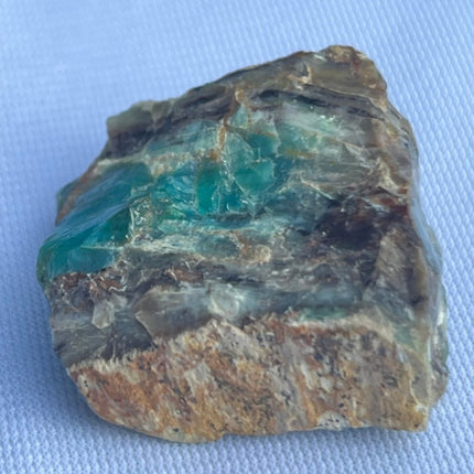 Fossilized Petrified Wood from Turkey - My Shop of Wonders