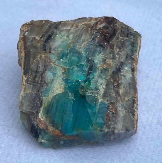 Fossilized Petrified Wood from Turkey - My Shop of Wonders