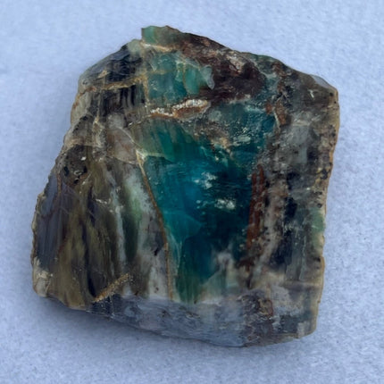 Fossilized Petrified Wood from Turkey - My Shop of Wonders