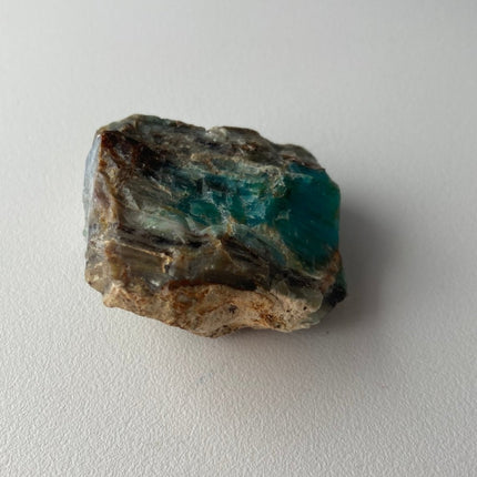 Fossilized Petrified Wood from Turkey - My Shop of Wonders