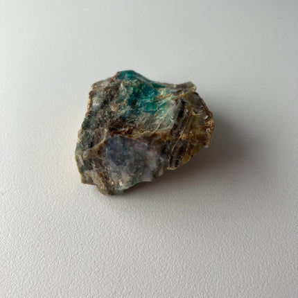 Fossilized Petrified Wood from Turkey - My Shop of Wonders