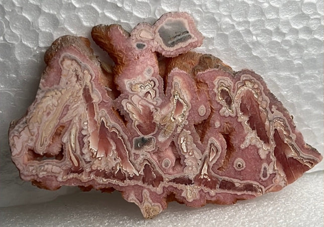 Polished Rhodochrosite from Argentina; Stalactite Mineral