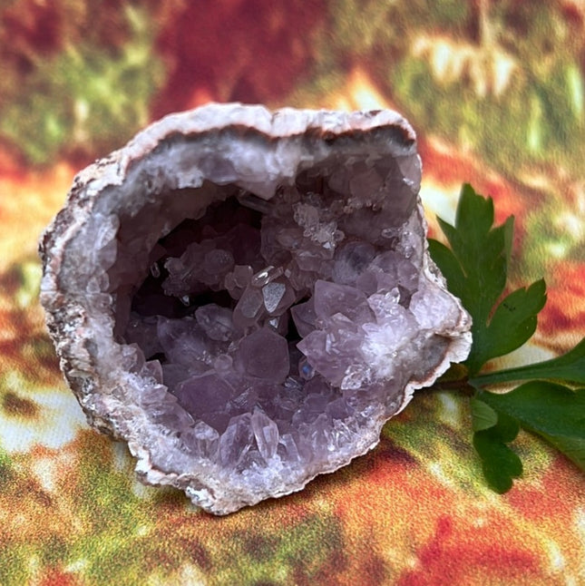 Precious Amethyst: Geo Rocks with Crystals Magic