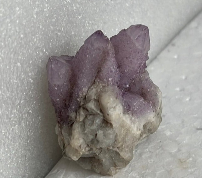 Cactus Quartz from Boekenhoutskloof, South Africa