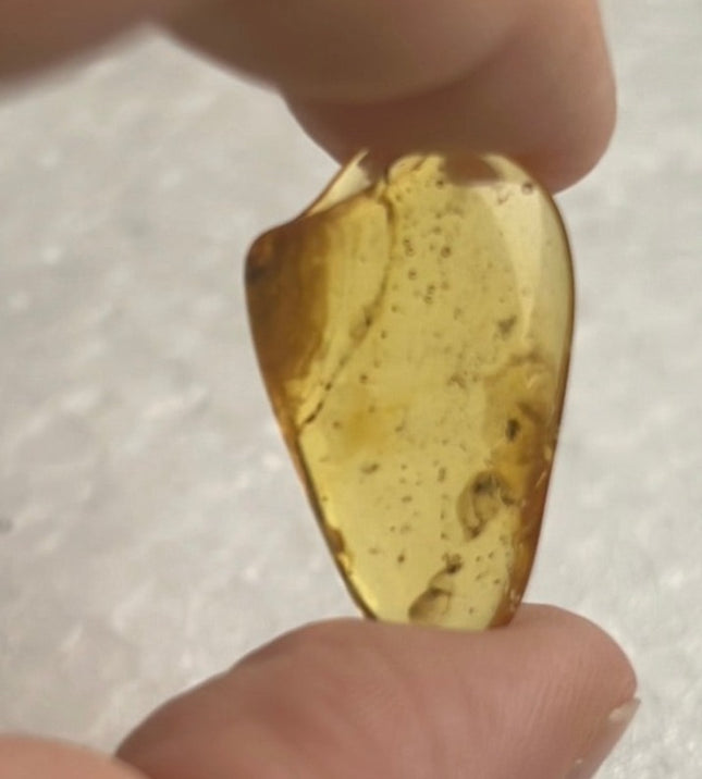 Amber Crystal from Lithuania