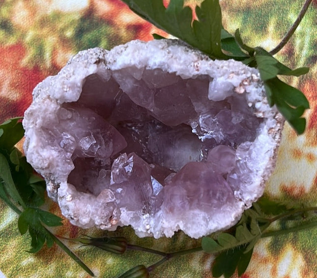 Amethyst aus Neuquen, Argentinien