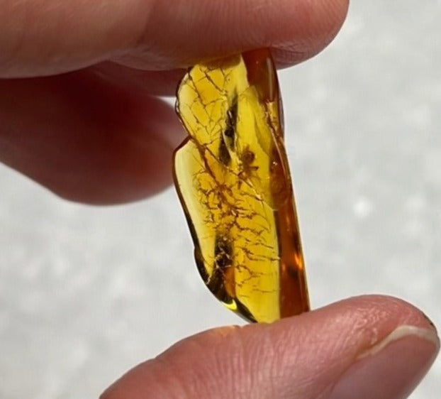 Amber Crystal from Lithuania