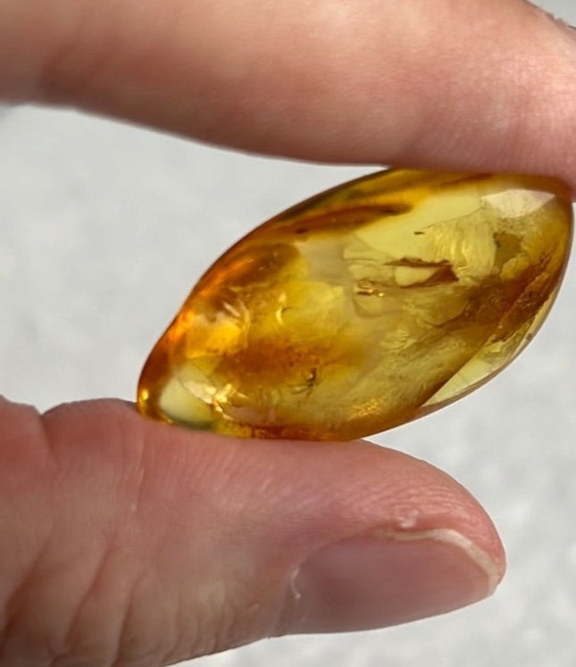 Amber Crystal from Lithuania