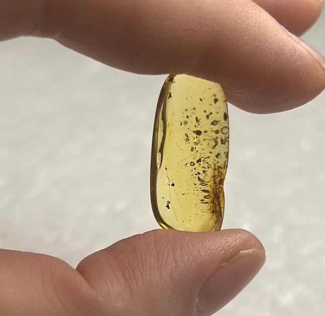 Amber Crystal from Lithuania